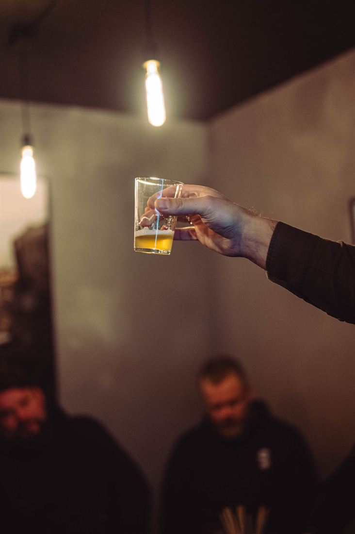 Privati alaus degustacija